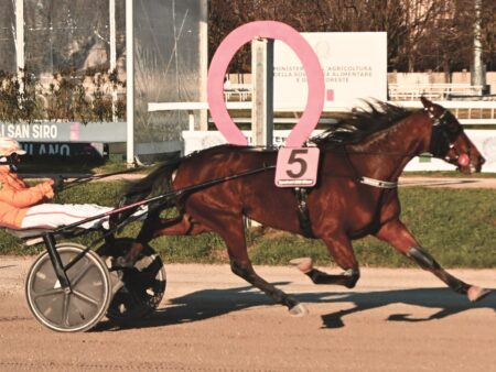 Ingrid Am trionfa nell’evento per i 2 anni all’Ippodromo Snai San Siro