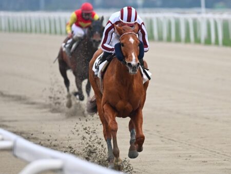 Ippodromo Snai San Siro: Lethal Nigio trionfa nel Premio Ruysdael